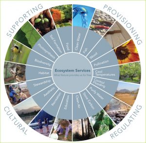 The graphic has an inner circle saying "Ecosystem Services, what nature provides us for free," which is surrounded by an 18-slice circle, with each slice depicting things like clean water, fish, flood control, photosythesis, and recreation. Finally the entire circle is surrounded by the words of the four main categories of ecosystem services: supporting, provisioning, cultural, and regulating services.